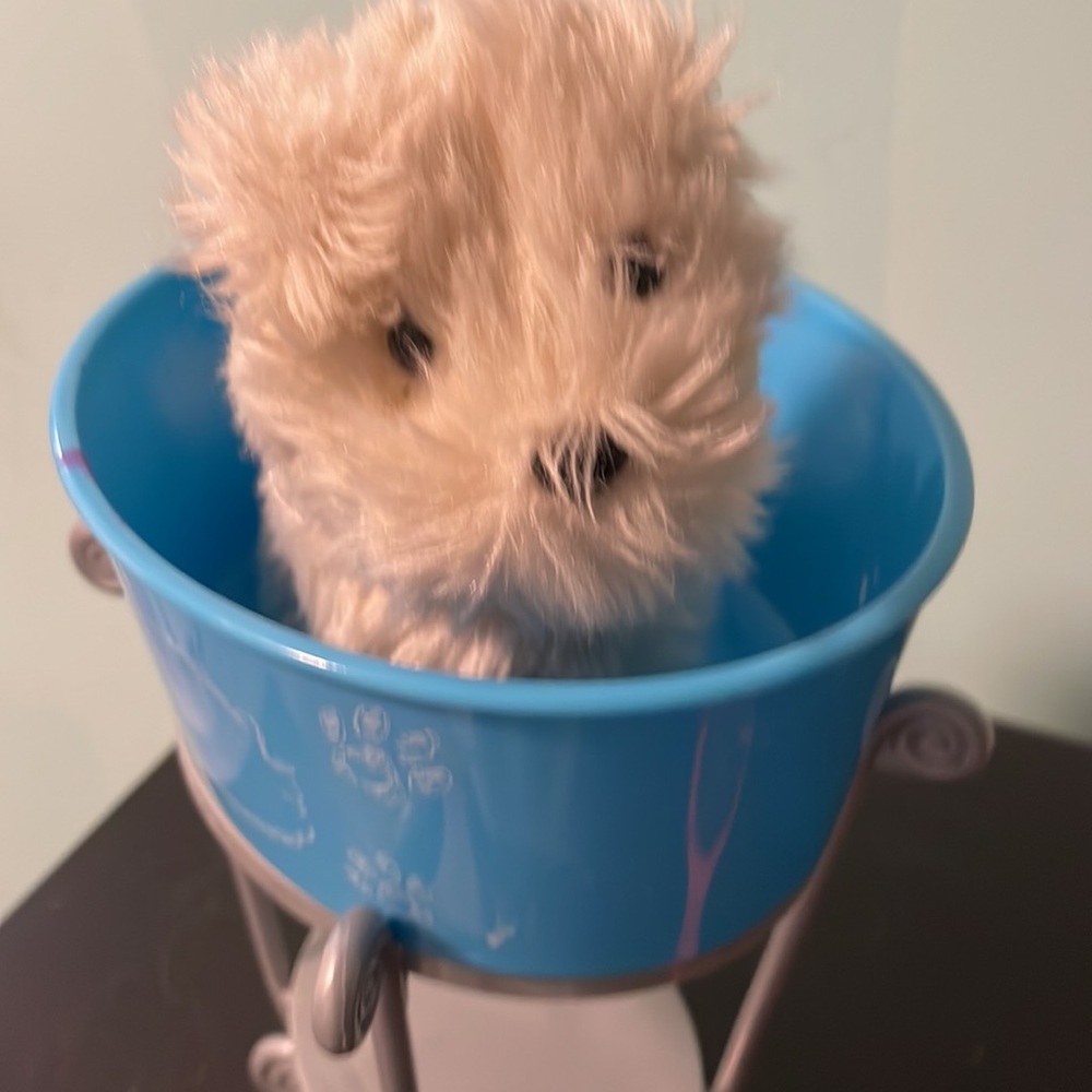 American girl, dog and dog bath